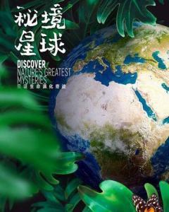大众探歌这款车时的入场吗