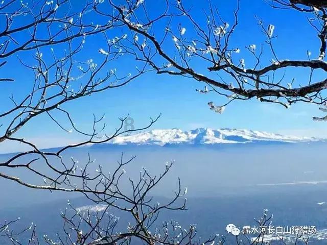 小矮怪挖金矿